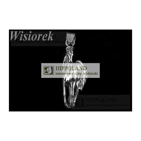 WISIOREK - MOTYW SKRZYDLATY KOŃ