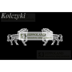 KOLCZYKI WKRĘTY KOL0007 MOTYW KONIK - WZÓR 1