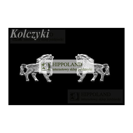 KOLCZYKI WKRĘTY KOL0007 MOTYW KONIK - WZÓR 1
