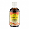 CDVET AGYPTISCHES SCHWARZKUMMELOL - opakowanie 500 ml