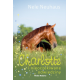 CHARLOTTE - Tom 3. Nieoczekiwane odwiedziny - Nele Neuhaus