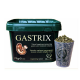 GREEN HORSE GASTRIX - opakowanie 2 kg