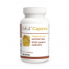 DOLFOS DOLVIT CAYENNE - opakowanie 90 tabletek