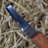 NÓŻ PODKUWNICZY RENOMED WZ-524 CS ERGONOMIC SPECJAL - ODSADZONY PRAWY