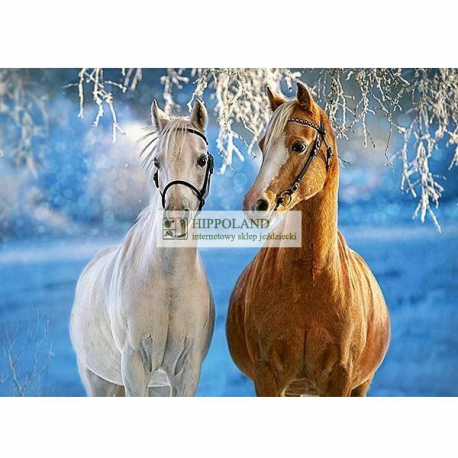 CASTORLAND B-27378 THE WINTER HORSES • PUZZLE 260 ELEMENTÓW 