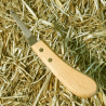 NÓŻ PODKUWNICZY MORAKNIV 109-1920 - PRAWY WĄSKI