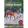 CZEGO NAPRAWDĘ CHCĄ KONIE - Lynn Acton