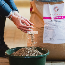 MAVALLO GASTRO BUILD 20 kg