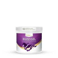 HORSELINE BUZZ GEL 600 ml