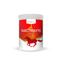HORSELINE ELECTROLYTE POWER PLUS 1500g