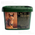 GREEN HORSE LACTI HERBS - 2 kg